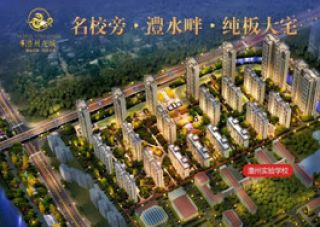 澧州龙城项目位于澧州实验学校旁（乔家河路与洗墨池路交汇处）