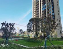 澧县九澧学府是学霸盘，位于九澧实验中学正对面。拥有优质教育资源和新房房优势，规模大景观美。现推出 127 平现房，即买即装即入读，满足多样需求。