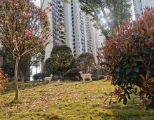 汉寿钧泰碧水园，5.25 至 6.25 公立学校网上招生。购此房可读一中附属初中和龙池公校，小区内有幼儿园。项目占地 76.3 亩，建面 16 万方，容积率 2.5，绿地率 37.66%，配 999 个停车位，规划 1054 户，开发商为湖南兴明钧泰房地产汉寿分公司。